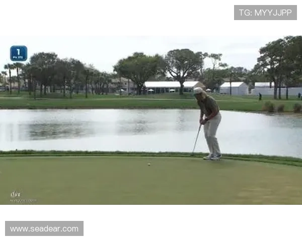 [高尔夫]高知特精英赛纳普59杆领先首轮 伯格尔亨利T2.